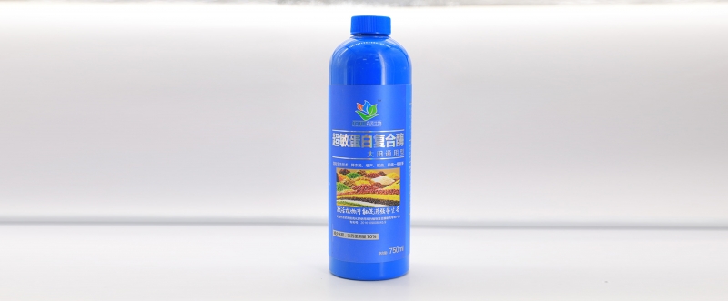 大田通用型