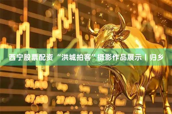 西宁股票配资 “洪城拍客”摄影作品展示丨归乡